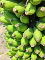 Closeup shot of green young bananas © Cahyadi