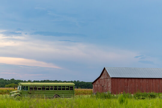 St. Mary's City, Maryland USA An abandoned green school bus on a cornfield with a cloudscape and a red barn.