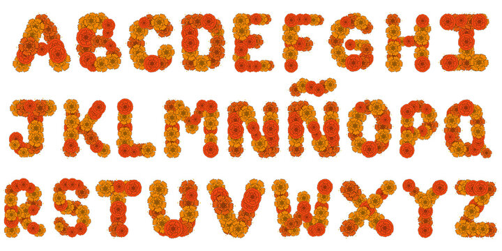 Decorative alphabet made with cempas&uacute;chil flowers. A graphic design inspired by the Day of the Dead
