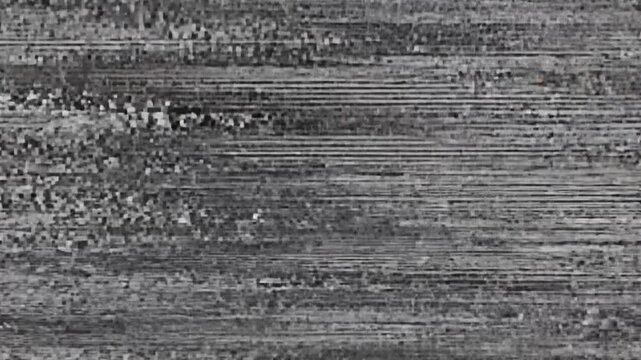Abstract glitch art featuring digital distortion and textured patterns in grayscale
