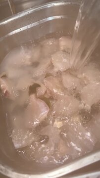 Washing Fresh Filefish Pieces in Cold Water, Izakaya Kitchen Japan, Vertical 4K