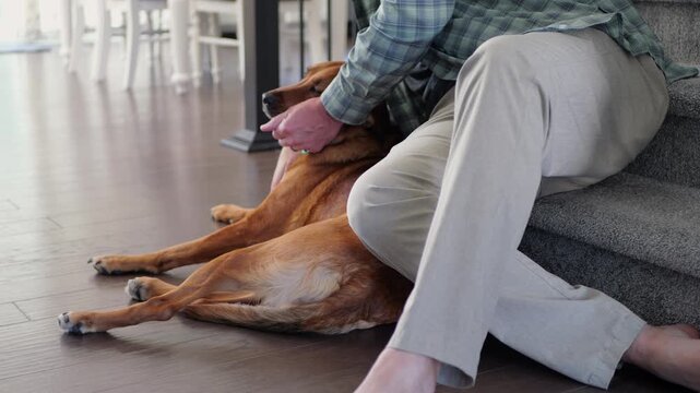 Middle-aged man bonding, hugging, and petting his rescue dog at home, showing genuine pet companionship, affection, and everyday domestic life