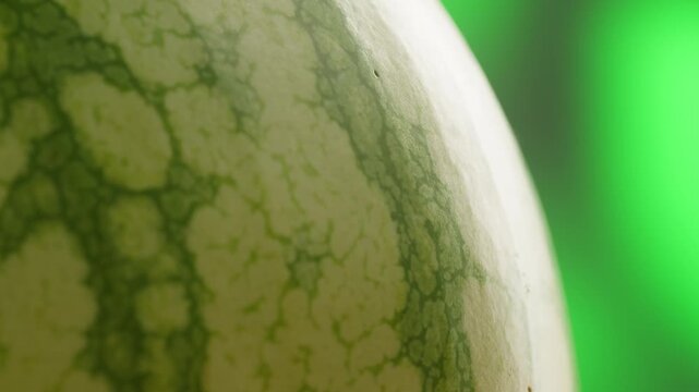 Man cutting watermelon - cut piece with knife. Young watermelons Citrullus lanatus. Topic - melons and gourds, farmer cultivation of watermelons
