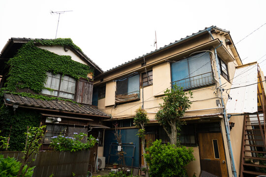 青々としたツタが壁面を覆う木造家屋と、昭和の面影を残す古い建物が並ぶ情緒的な街並み