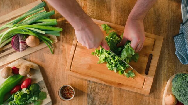 Cilantro parsley close up cut cutting coriander greens with knife aromatic texture macro traditional Asian and Mexican cuisine herb studio shot 