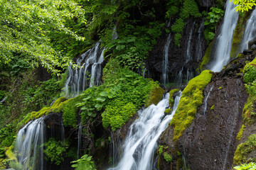 新緑が鮮やかな雨後の吐竜の滝 © MEADOWSCAPE