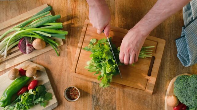 Cilantro parsley close up cut cutting coriander greens with knife aromatic texture macro traditional Asian and Mexican cuisine herb studio shot 
