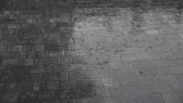 Raindrops and icy precipitation fall on wet paving slabs. Hail.