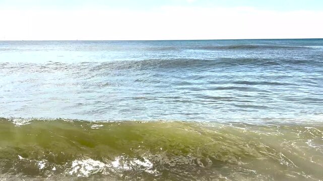 Many Ocean Waves Forming As They Get Closer To The Beach.