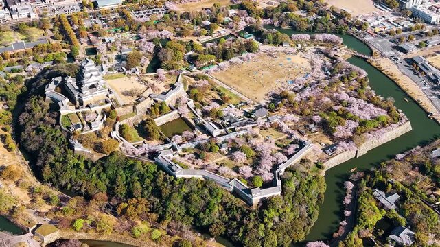 Aerial drone view of the white main tower of Himeji Castle among blooming cherry trees, Himeji, Japan