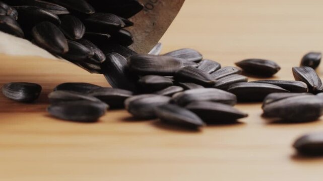 Gray sunflower seeds. Top view. Background, texture