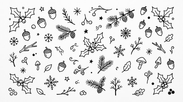 Autumn Nature Illustration with Holly Acorns Pinecones and Snowflakes