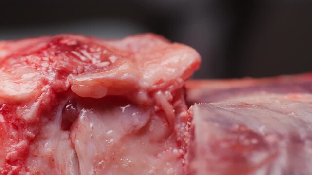 Fresh beef ossobuco steak with salt, spices and herbs on textured background, bones. 