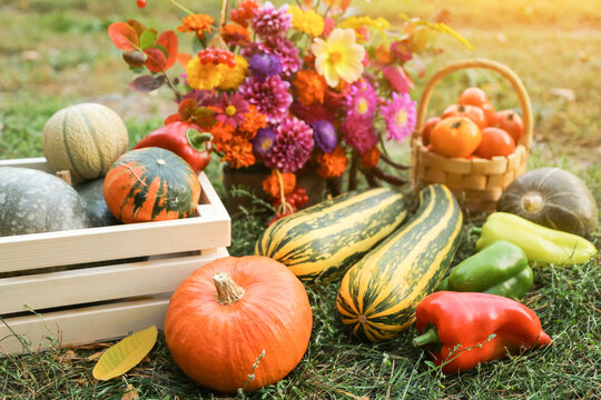 Autumn harvest of fresh vegetable with fall flowers in bouquet in sunlight. Harvesting organic fall vegetables