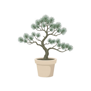 Illustrazione vettoriale di un albero bonsai di pino in miniatura piantato in un vaso di ceramica beige, caratterizzato da rami curvi e aghi verdi dettagliati su uno sfondo bianco pulito e isolato.