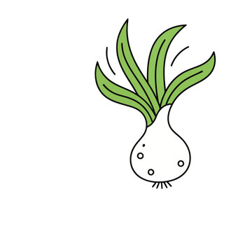 Cartoon green onion bulb with leaves