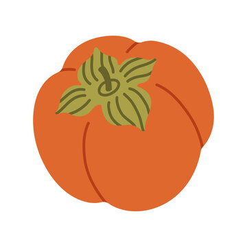 Ripe orange persimmon fruit vector illustration isolated on white. Perfect for autumn harvest food graphics, Thanksgiving seasonal food icons, healthy fruit market labels, and autumn recipes