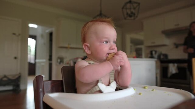Baby with red hair takes a bite of a cookie while sitting in a high chair in a cozy kitchen featuring wooden floors and bright lighting