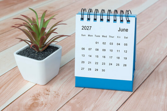 June 2027 desk calendar with potted plant on wooden desk.