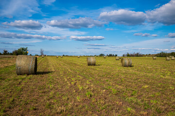 hay bales in a field, Ontario, Canada © J.Yang