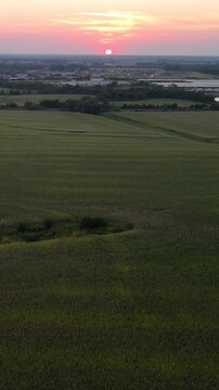 Aerial drone view vast Midwestern cornfield at sunset bordering suburban residential development and industrial infrastructure in Kansas