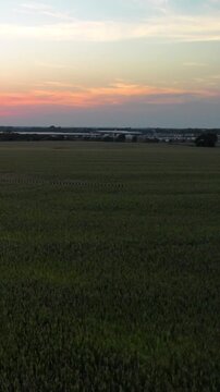 Aerial drone view vast Midwestern cornfield at sunset bordering suburban residential development and industrial infrastructure in Kansas