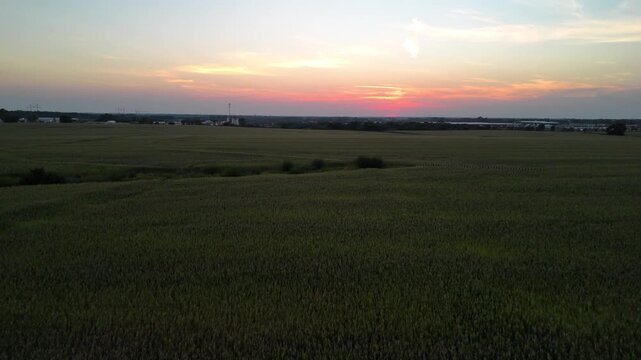 Aerial drone view vast Midwestern cornfield at sunset bordering suburban residential development and industrial infrastructure in Kansas