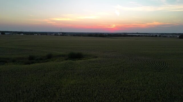 Aerial drone view vast Midwestern cornfield at sunset bordering suburban residential development and industrial infrastructure in Kansas