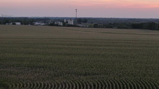 Aerial drone view vast Midwestern cornfield at sunset bordering suburban residential development and industrial infrastructure in Kansas
