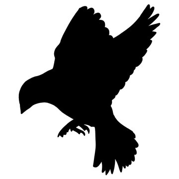 eagle silhouette vector