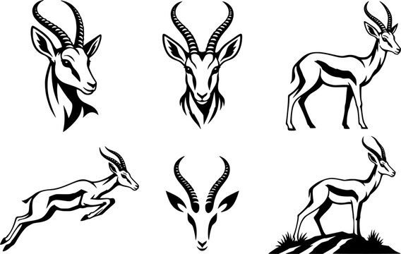 Impala Antelope Silhouette Logo Vector Set - Elegant Gazelle Head, Jumping and Standing Wildlife Illustrations