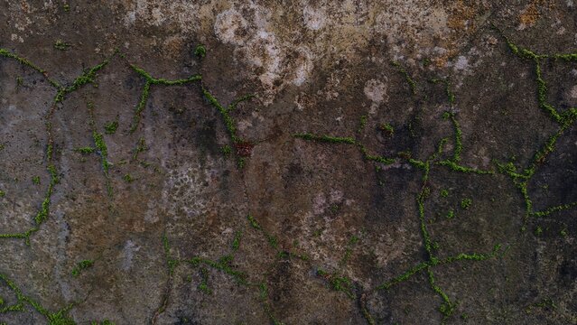 Close up of a gray concrete wall with patches of moss and discoloration abstract texture outdoor texture concrete discoloration background weathered abstract close up substance natural patte