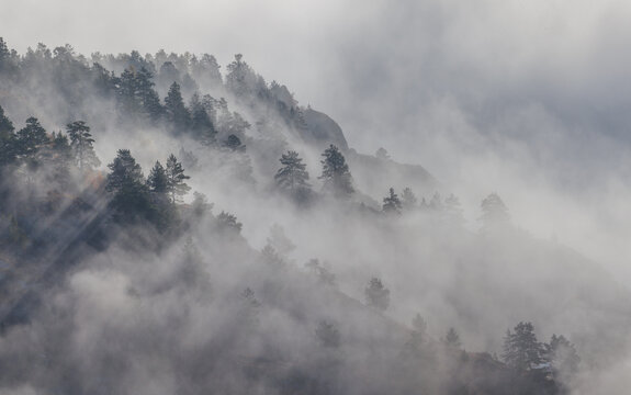 Autumn forest in fog, forested hill, aerial view