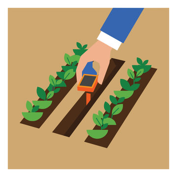 Businessman Placing Solar Panel Sensor in Garden Row | Smart Agriculture Concept