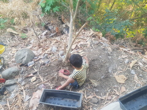 A young child sitting and playing with soil outdoors in a natural garden environment, surrounded by trees, fallen leaves, rocks, and vegetation. A candid scene representing childhood play, outdoor exp