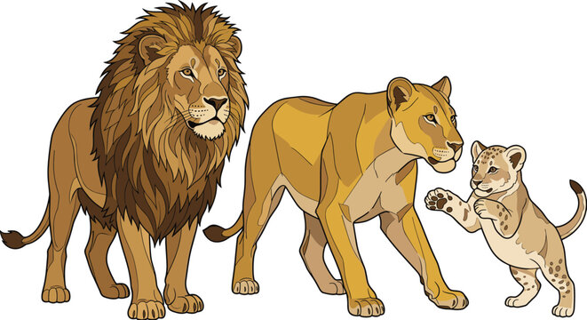 Proud lion family vector illustration featuring male lion lioness and a playful cub together