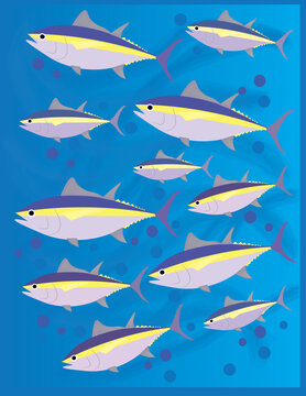 A vector art of a school of tuna fish.