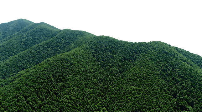 Majestic rolling green mountain range featuring dense coniferous evergreen forests captured from a high aerial perspective under bright natural daylight conditions, isolated on transparent background