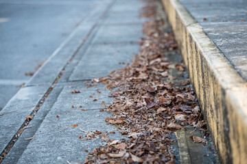 Autumn leaves gathered along a city sidewalk curb, perfect for fall season background themes and urban landscape designs. © mailcaroline