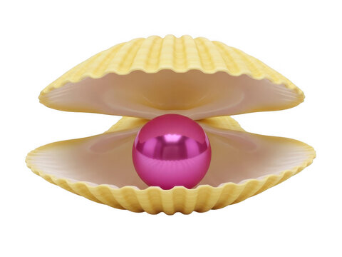 A shiny bright pink pearl inside an open yellow scallop sea shell isolated on transparent background