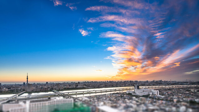 Aerial view of tokyo skytree and city skyline with skyscrapers and blurred foreground at sunset in Japan, miniature tilt shift effect