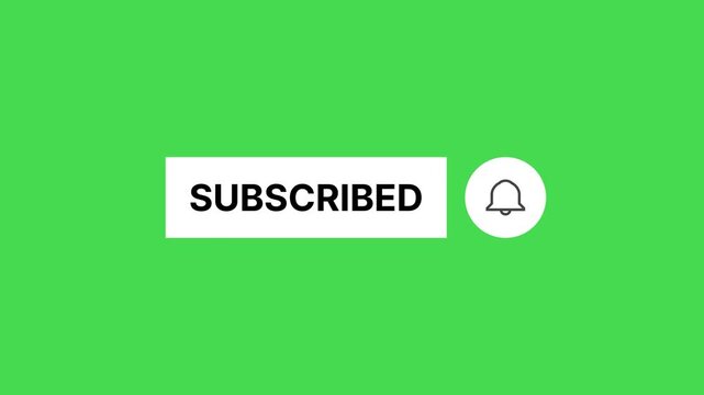 red subscribe button animation on green screen. subscribe button video footage. subscribed button with bell icon. social media channel subscribed button