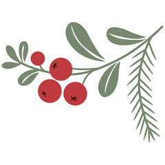 christmas holly berry and pine branch illustration isolated on transparent background festive winter holiday decoration element © PATTASUWANNAKORN