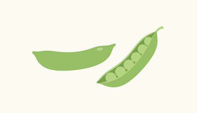 Green pea pods with fresh organic green peas inside shown in flat cartoon vector illustration style on light background.