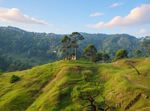 Green rolling hills with pine trees and mountain landscape