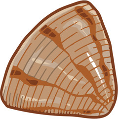 Clam Shell Hand Drawn Seafood Vector Illustration © Ricky