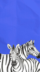 Blue mobile wallpaper, zebras animal design © Rawpixel.com
