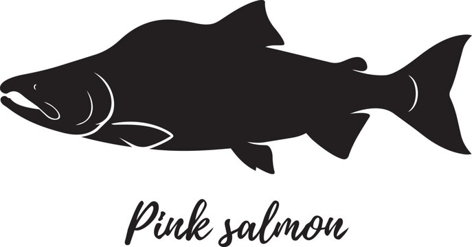 pink salmon fish silhouette vector illustration