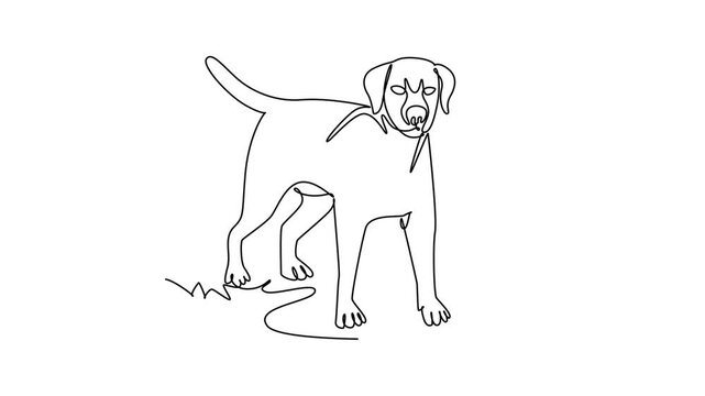 Animated self drawing of continuous line draw loyal dog standing alert while facing forward with folded ears and upright tail. Canine devotion and veterinary pet care. Full length one line animation
