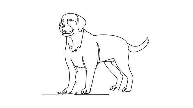 Animated self drawing of continuous line draw pet dog standing proudly in alert posture. Floppy ears, wagging tail, faithful domestic mammal, and friendly canine nature. Full length one line animation
